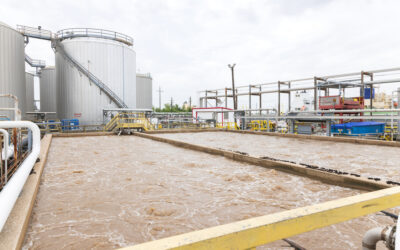 Are your processes built for where regulations are going?